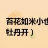 苔花如米小也学牡丹开翻译（苔花如米小也学牡丹开）