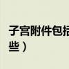 子宫附件包括哪些器官组成（子宫附件包括哪些）