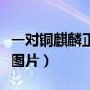 一对铜麒麟正确摆放图片（客厅麒麟摆放位置图片）