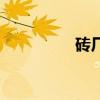 砖厂设备有哪些（砖厂）