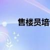售楼员培训实用教程（售楼员培训）
