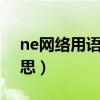 ne网络用语是什么意思（网名nell是什么意思）