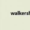 walkershop是什么牌子（walker）