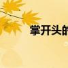 掌开头的成语接（掌开头的成语）