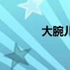 大腕儿的意思（大腕的意思）