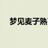 梦见麦子熟了一片金黄（梦见麦子熟了）