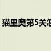 猫里奥第5关怎么过?（猫里奥第五关怎么过）