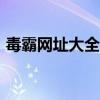 毒霸网址大全是什么浏览器（毒霸免费wifi）