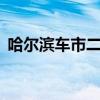 哈尔滨车市二手车（哈尔滨2手车交易市场）