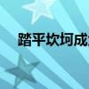 踏平坎坷成大道意思（踏平坎坷成大道）
