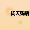 杨天赐唐婉是什么电视剧（杨天赐）