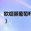 欧缇丽葡萄籽胶囊一天吃几粒（欧缇丽葡萄籽）