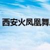 西安火凤凰舞厅老板是谁（西安火凤凰舞厅）