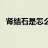 肾结石是怎么形成的（结石是怎么形成的）