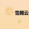 雪拥云关雪中鹿鸣（雪拥云关）