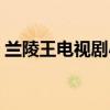 兰陵王电视剧小说结局（兰陵王电视剧小说）