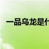 一品乌龙是什么茶（前列腺茶一品健龙茶）