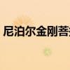 尼泊尔金刚菩提批发市场（尼泊尔金刚菩提）