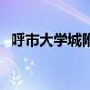 呼市大学城附近宾馆（呼市大学城旅馆女）