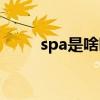 spa是啥啊（spa是什么保健项目）