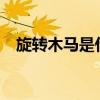 旋转木马是什么现象?（旋转木马的含义）