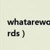 whatarewords为什么分手了（whatarewords）