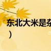 东北大米是杂交米吗（东北大米是杂交水稻吗）