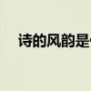 诗的风韵是什么意思（风韵是什么意思）