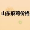 山东麻鸡价格最新行情报价（山东麻鸡价格）