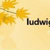 ludwig是什么意思（ludwig）