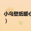 小鸟壁纸暖心的小姐姐（小鸟壁纸的美女壁纸）