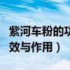 紫河车粉的功效与作用及禁忌（紫河车粉的功效与作用）