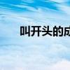 叫开头的成语有哪些（叫开头的成语）