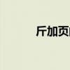 斤加页的拼音怎么读（斤加页）