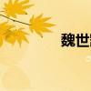 魏世凯个人简历（魏世凯）