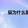 猫为什么爱吃鱼鳃（猫为什么爱吃鱼）