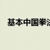 基本中国拳法完整版pdf（基本中国拳法）