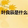 叶良辰是什么梗赵日天（赵日天是什么梗啊）