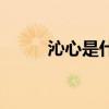 沁心是什么意思（沁是什么意思）