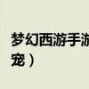 梦幻西游手游合宠最佳组合（梦幻西游手游合宠）