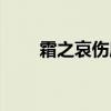 霜之哀伤属性截图（霜之哀伤属性）