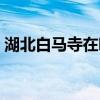 湖北白马寺在哪个地区（白马寺在哪个地区）