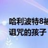 哈利波特8被诅咒的孩子简介（哈利波特8被诅咒的孩子）