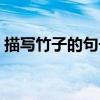 描写竹子的句子比喻拟人（描写竹子的句子）