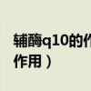 辅酶q10的作用与功效及副作用（辅酶q10的作用）
