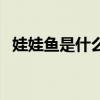 娃娃鱼是什么动物类（娃娃鱼是什么动物）