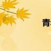 青年绘官网（青年绘）