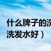 什么牌子的洗发水好用香味持久（什么牌子的洗发水好）