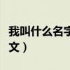 我叫什么名字用英语怎么说（你叫什么名字英文）