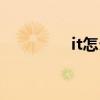 it怎么读翻译（it怎么读）